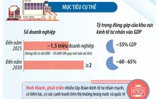 [INFOGRAPHIC] Đến năm 2025, khu vực kinh tế tư nhân đóng góp vào GDP đạt khoảng 55%