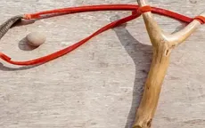 Bé gái thoát khỏi âm mưu bắt cóc nhờ anh trai dũng cảm