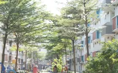 Bình Dương tập trung ưu tiên phát triển quỹ đất xây dựng nhà ở xã hội