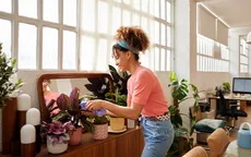 4 cách để giảm bụi trong nhà của bạn