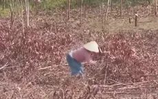 Nguy cơ cháy rừng từ sự bất cẩn khi đốt dọn thực bì