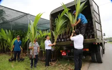 Bến Tre: Tặng cây giống và đất sạch chung tay "Xanh hóa Trường Sa"