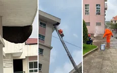 Hải Phòng: Huy động cảnh sát PCCC xử lý tổ ong cực lớn ở khu chung cư 9 tầng
