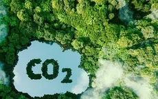 Việt Nam có nhiều tiềm năng để xây dựng thị trường carbon