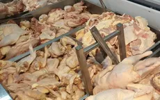 Có hay không gà thải loại nhập khẩu vào Việt Nam?