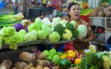 Giá rau Đà Lạt từ vườn ra chợ tăng đến 5 lần
