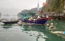 Xử lý dứt điểm các cơ sở nuôi thủy sản trái phép trên Vịnh Hạ Long
