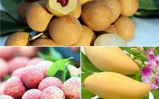 Thúc đẩy tiêu thụ trái cây vào mùa thu hoạch