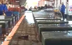 Bất cập xử lý ô nhiễm nước thải cảng cá