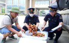 Gần 6.000 tấn vải xuất khẩu qua cửa khẩu Kim Thành