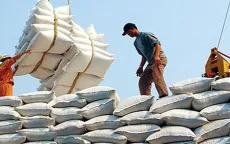 Gạo Việt có nhiều cơ hội xuất khẩu sang châu Phi