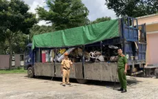 Bình Dương: Phát hiện 2 xe tải vận chuyển chất thải không đúng quy định