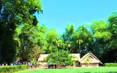 Lễ hội Làng Sen nhân kỷ niệm Ngày sinh Chủ tịch Hồ Chí Minh với nhiều hoạt động ý nghĩa