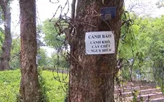 Hồ cạn, cây chết ở công viên Bách Thảo, Hà Nội