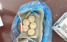 Bắt quả tang du khách nghi vận chuyển trứng động vật hoang dã