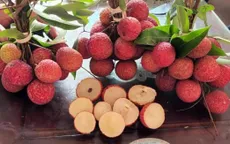 Vải thiều không hạt giá 250.000 đồng/kg