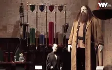 Công viên Harry Potter tại Tokyo sắp mở cửa đón khách