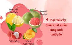 Các loại trái cây Việt Nam được xuất khẩu sang thị trường Anh