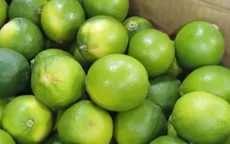 Chanh không hạt Việt Nam chiếm lĩnh thị trường Vùng Vịnh