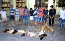 Bạc Liêu: Triệt xóa điểm đá gà ăn tiền, thu giữ hơn 100 triệu đồng