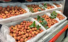 Vải thiều Bắc Giang giá gần 800.000 đồng/kg ở Mỹ