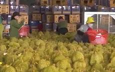 Rau quả Việt được mùa xuất khẩu