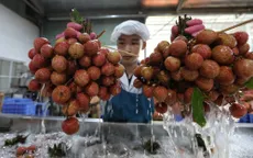 Đẩy mạnh xúc tiến nông sản qua cơ quan thương vụ