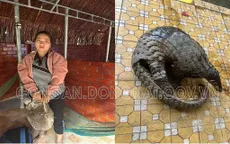 Đồng Nai: Phát hiện 2 đối tượng mua bán, tàng trữ trái phép động vật nguy cấp, quý hiếm