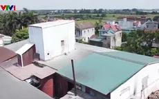 Xưởng cám xả thải vượt quy chuẩn hơn 12 lần