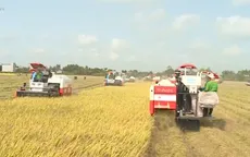 Hoàn thiện khuôn khổ pháp lý về tổ chức, hoạt động của Quỹ Hỗ trợ nông dân