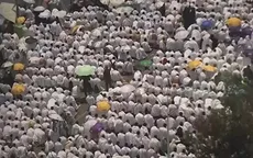 Hơn 4.000 người hành hương Saudi Arabia nhập viện vì nắng nóng