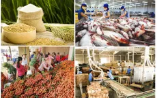 Xuất khẩu nông, lâm, thủy sản 6 tháng mang về gần 25 tỷ USD