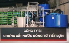 Bỉ: Chưng cất nước uống  từ tiết lợn