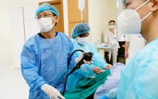 Nguy cơ lây nhiều bệnh đường tiêu hóa qua nội soi