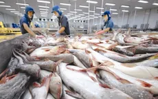 Xuất khẩu thủy sản có thể cải thiện lợi nhuận trong nửa cuối năm