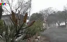 Johannesburg đón đợt tuyết rơi hiếm có