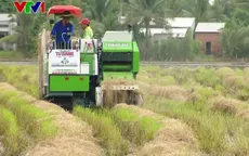 Trình diễn thu hoạch rơm bằng cơ giới hóa