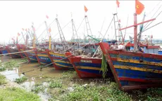 Ứng phó bão số 1: Kêu gọi tàu, thuyền ở khu vực nguy hiểm về nơi tránh, trú an toàn