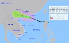 Bộ Y tế yêu cầu trực cấp cứu 24/24, sẵn sàng thu dung cấp cứu trong mưa, bão