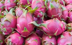 Mở rộng thị trường xuất khẩu nông sản qua hệ thống bán lẻ