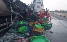 Xe tải chở ếch và ba ba bốc cháy ngùn ngụt trên cao tốc