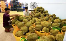 Xuất khẩu rau quả 7 tháng vượt cả năm 2022