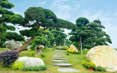 Phúc Nguyên Garden - mang không gian xanh về trong ngôi nhà của bạn