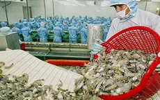 Vương quốc Anh sẽ công nhận Việt Nam là nền kinh tế thị trường trong điều tra phòng vệ thương mại