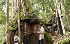 Bảo vệ di sản nghìn năm tuổi ở vùng cao xứ Quảng