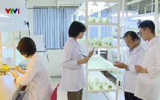 Cơ chế quản lý bó buộc nhà khoa học