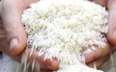 Giá gạo xuất khẩu từ Việt Nam, Thái Lan cao nhất trong hơn một thập kỷ