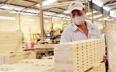 Doanh nghiệp gỗ "xanh hóa" sản xuất để "săn" đơn hàng
