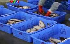Hàn Quốc tiếp tục cấm nhập hải sản từ Fukushima