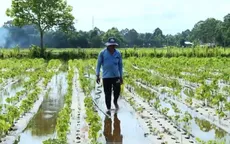 Ngập úng đang diễn ra từ nông thôn đến đô thị